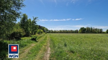 Grunt budowlany jednorodzinny na  sprzedaż Nowa Kopernia - Sprzedam działkę pod lasem